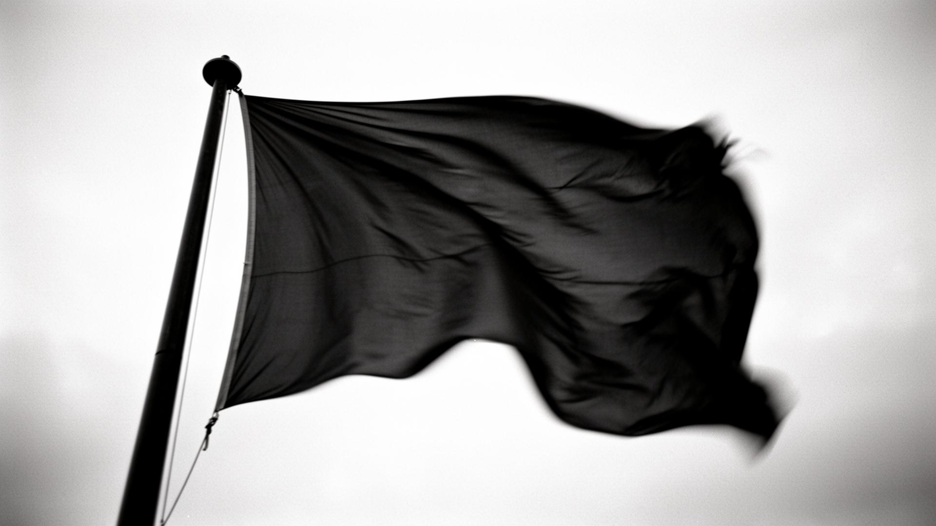 Bandera blanquinegra